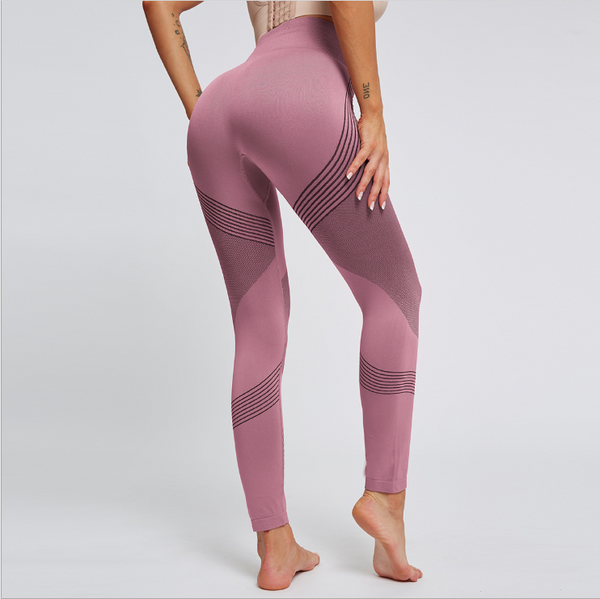 Shape your body women's contour seamless gym leggings